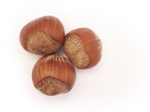 hazelnut